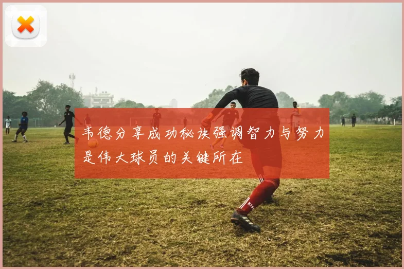 韦德分享成功秘诀强调智力与努力是伟大球员的关键所在