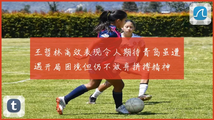 王哲林高效表现令人期待青岛虽遭遇开局困境但仍不放弃拼搏精神